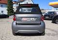 smart forTwo cabrio Micro Hyb. Drive 52kW*1A*Bi-Color Silber - thumbnail 6