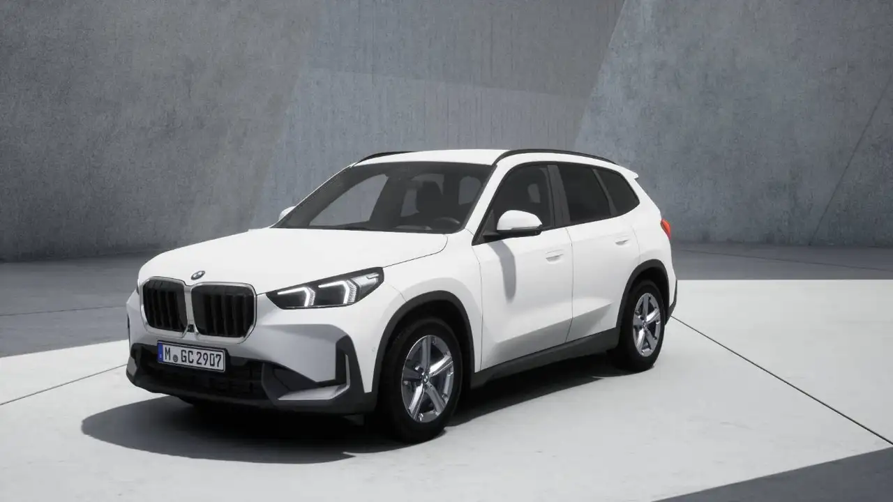 BMW X1 xDrive 20d LED SpurAss 360° AHK HUD Navi RFK, миниатюра 2