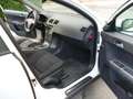 Volvo V50 1.6D DPF Blanco - thumbnail 10
