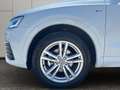 Audi Q3 2,0 TDI Sport quattro S-tronic Weiß - thumbnail 6
