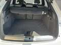 Audi Q3 2,0 TDI Sport quattro S-tronic Weiß - thumbnail 18