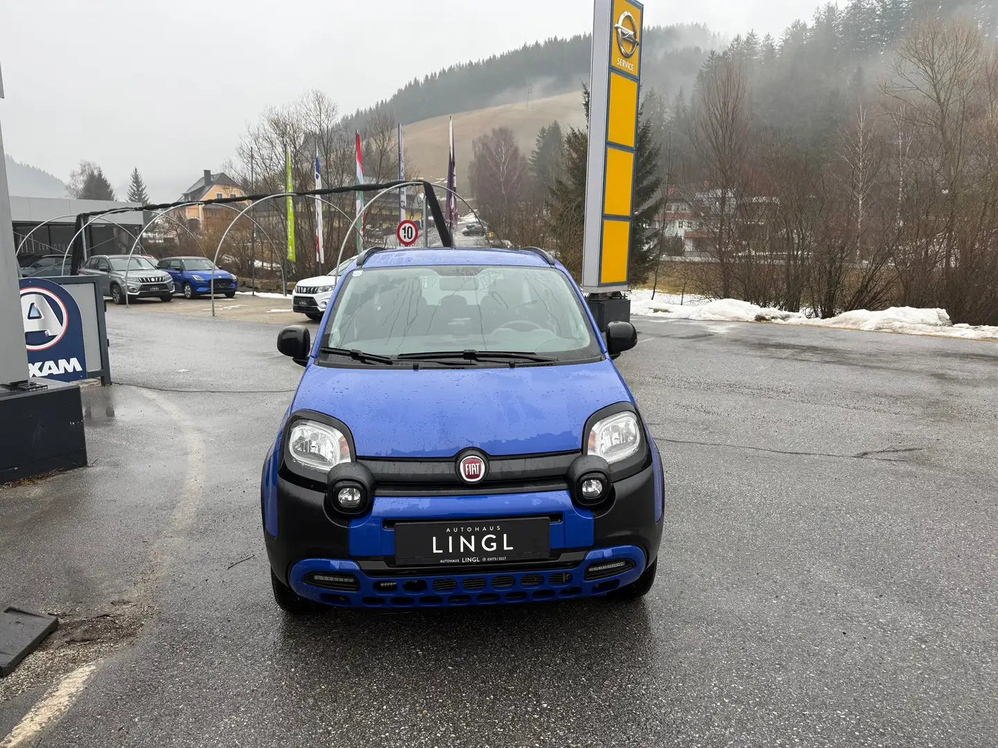 Fiat Panda TwinAir 85 4x4 Cross *AHV; WENIG KM* Blau - 2