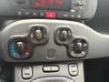 Fiat Panda TwinAir 85 4x4 Cross *AHV; WENIG KM* Blau - thumbnail 13