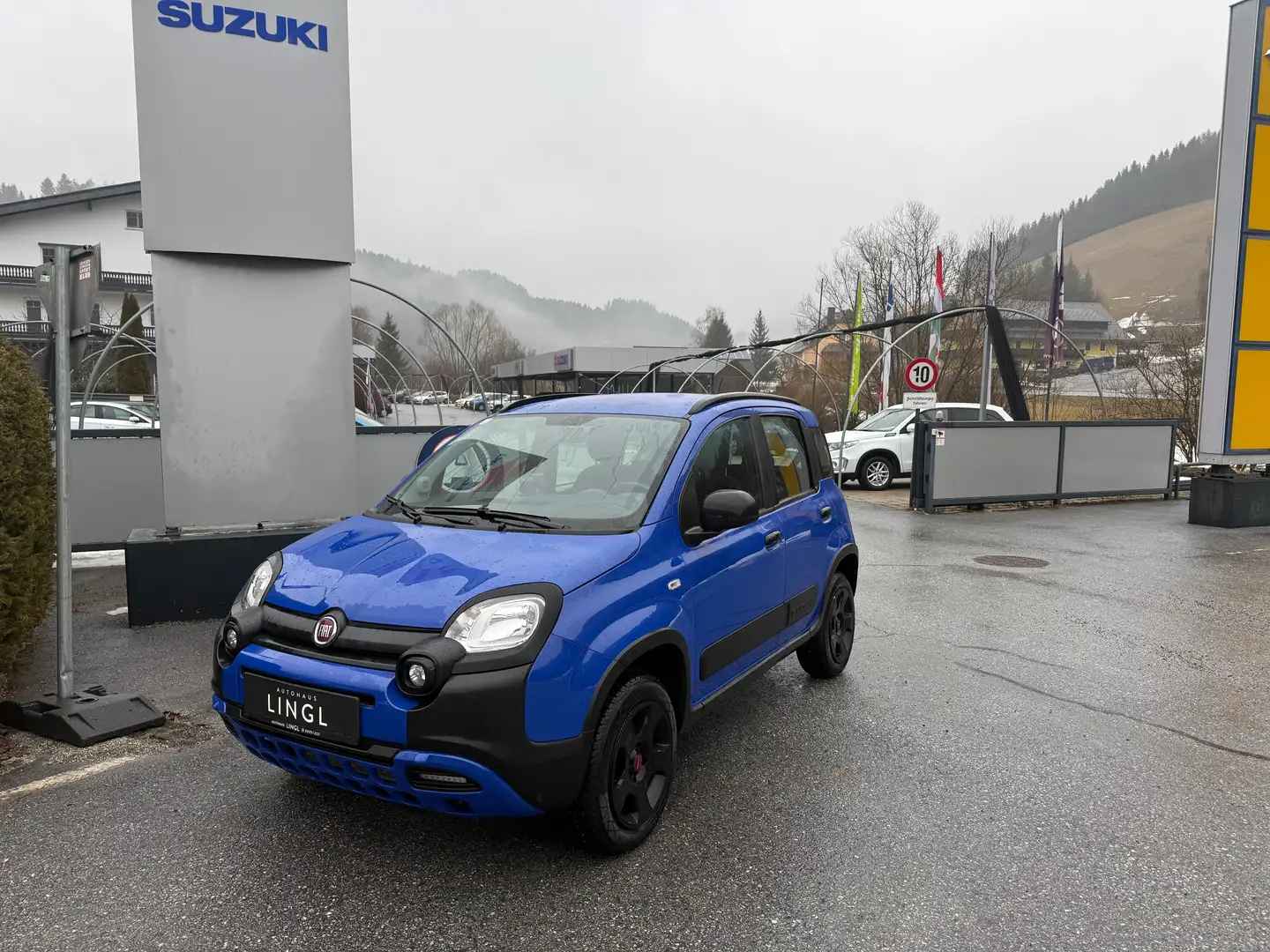 Fiat Panda TwinAir 85 4x4 Cross *AHV; WENIG KM* Blau - 1