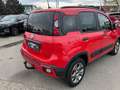 Fiat Panda Cross Red Rouge - thumbnail 4