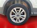 Ford Kuga 1.5 TDCi 88kW 4x2 A-S-S Trend Blanco - thumbnail 9