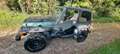 Jeep Wrangler Wrangler TJ Hard Top 4.0 Sport Zöld - thumbnail 3