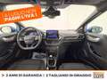 Ford Puma 1.0 ecoboost h st-line s&s 125cv Blu/Azzurro - thumbnail 11