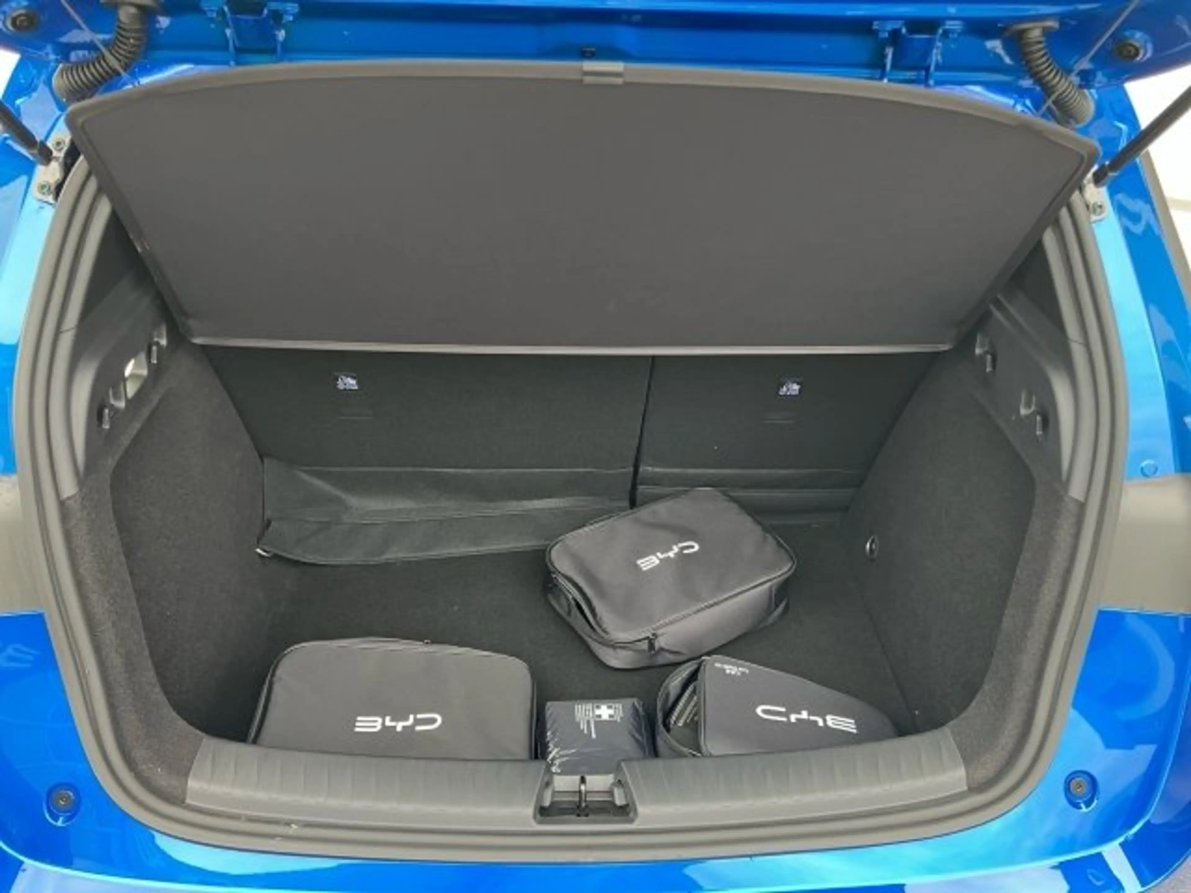BYD Dolphin G DM-i Boost — photo 13