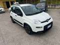 Fiat Panda Panda 1.0 firefly hybrid City Life s Bianco - thumbnail 12