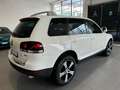 Volkswagen Touareg Touareg 2.5 tdi R5 Exclusive tiptronic dpf FL Bianco - thumbnail 6