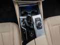 BMW 530 e xD  Laser HUD DAB HiFi AHK ACC Komfortzugan Gris - thumbnail 40