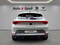 CUPRA Formentor mit Fahrschulumbau Weiß - thumbnail 6