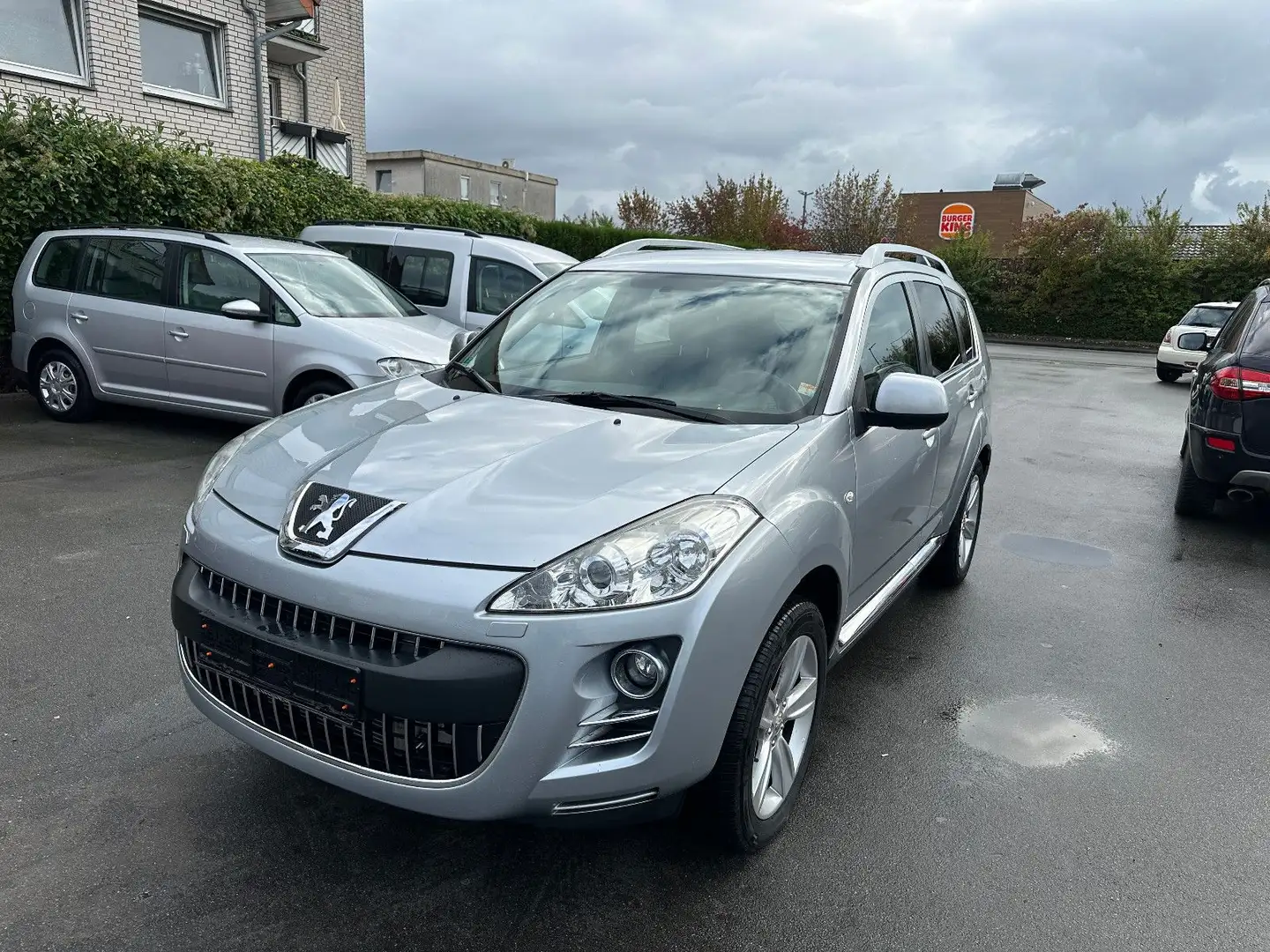 Peugeot 4007 Platinum Grau - 1