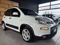 Fiat Panda 1.0 firefly hybrid 40.000 KM NEOPATENTATI Blanco - thumbnail 5