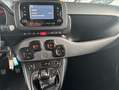 Fiat Panda 1.0 firefly hybrid 40.000 KM NEOPATENTATI Blanco - thumbnail 16