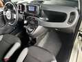 Fiat Panda 1.0 firefly hybrid 40.000 KM NEOPATENTATI Blanco - thumbnail 12