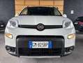 Fiat Panda 1.0 firefly hybrid 40.000 KM NEOPATENTATI Blanco - thumbnail 6