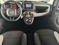 Fiat Panda 1.0 firefly hybrid 40.000 KM NEOPATENTATI Blanco - thumbnail 13