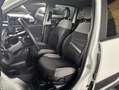 Fiat Panda 1.0 firefly hybrid 40.000 KM NEOPATENTATI Blanco - thumbnail 7