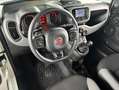 Fiat Panda 1.0 firefly hybrid 40.000 KM NEOPATENTATI Blanco - thumbnail 8