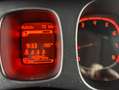 Fiat Panda 1.0 firefly hybrid 40.000 KM NEOPATENTATI Blanco - thumbnail 15