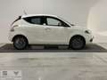 Lancia Ypsilon Ypsilon 1.0 FireFly 5 porte S&S Hybrid Gold - thumbnail 6