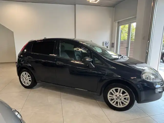 Fiat Punto view 2