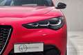 Alfa Romeo Stelvio ALFA ROMEO Stelvio 2.2 Turbodiesel 160 CV AT8 RWD Rot - thumbnail 10