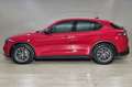 Alfa Romeo Stelvio ALFA ROMEO Stelvio 2.2 Turbodiesel 160 CV AT8 RWD Rot - thumbnail 9