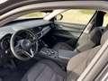 Alfa Romeo Stelvio 2.2 t Executive rwd 180cv auto - thumbnail 6
