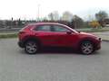 Mazda CX-30 G150 Comfort+ Rot - thumbnail 9