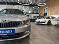 Skoda Fabia Combi Joy *DAB*Klima*SHZ*Bluetooth*1. Hand Beige - thumbnail 3