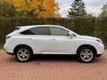 Lexus RX 450h 4WD 1ste-Eigenaar A-Z Dealer 'EX BTW!' Білий - thumbnail 13