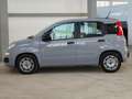 Fiat Panda 1.0 hybrid Easy s&s 70cv 5P Grigio - thumbnail 8