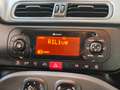 Fiat Panda 1.0 hybrid Easy s&s 70cv 5P Grigio - thumbnail 14