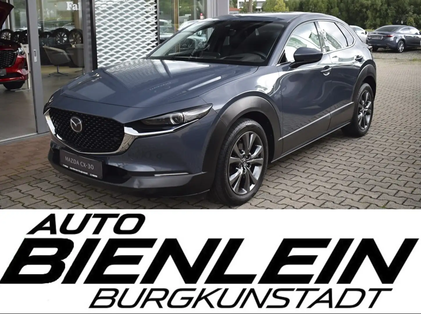 Mazda CX-30 2.0X 179PS AWD 6GS SELECTION A18-B BOS DES-P LED-S Grau - 1