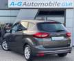 Ford C-Max Titanium/Spurhalte/Abstandstempomat/Kamera Grau - thumbnail 8