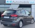 Ford C-Max Titanium/Spurhalte/Abstandstempomat/Kamera Grau - thumbnail 6