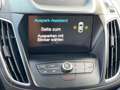 Ford C-Max Titanium/Spurhalte/Abstandstempomat/Kamera Grau - thumbnail 16