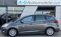Ford C-Max Titanium/Spurhalte/Abstandstempomat/Kamera Grau - thumbnail 9