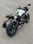 Triumph Street Triple S (garantie 24 mois) Wit - thumbnail 2