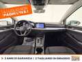 Volkswagen Golf 1.0 etsi evo life 110cv dsg Bianco - thumbnail 12
