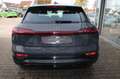 Audi Q8 e-tron 50 quattro advanced Navi Matrix Kamera ACC 20 Zoll Grau - thumbnail 5