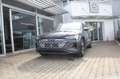 Audi Q8 e-tron 50 quattro advanced Navi Matrix Kamera ACC 20 Zoll Grau - thumbnail 10