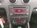 Audi A3 3 Porte 1.6 Attraction Nero - thumbnail 15