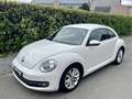 Volkswagen New Beetle Beetle 1.2 TSI Design Blanc - thumbnail 4