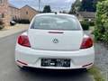 Volkswagen New Beetle Beetle 1.2 TSI Design Blanc - thumbnail 8