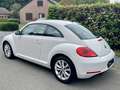 Volkswagen New Beetle Beetle 1.2 TSI Design Blanc - thumbnail 6