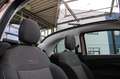 Fiat 500e Cabrio ICON - 42 kWh Navi+SHZ+Winterp.+LM Gold - thumbnail 14